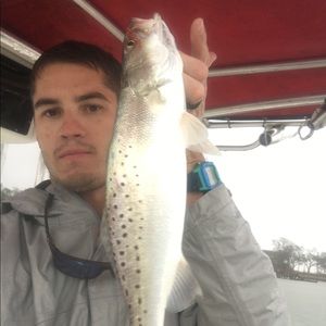 Meet your Posher, Brandon